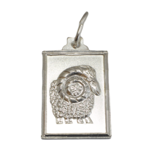 Glare Srebrny wisiorek 245S